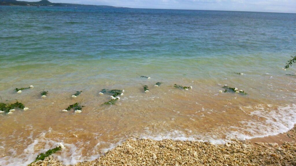 【2026年最新】海洋散骨は自分でできる？守るべきルールやマナーなどを紹介