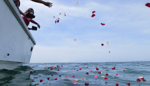 ブルーオーシャンセレモニーの画像