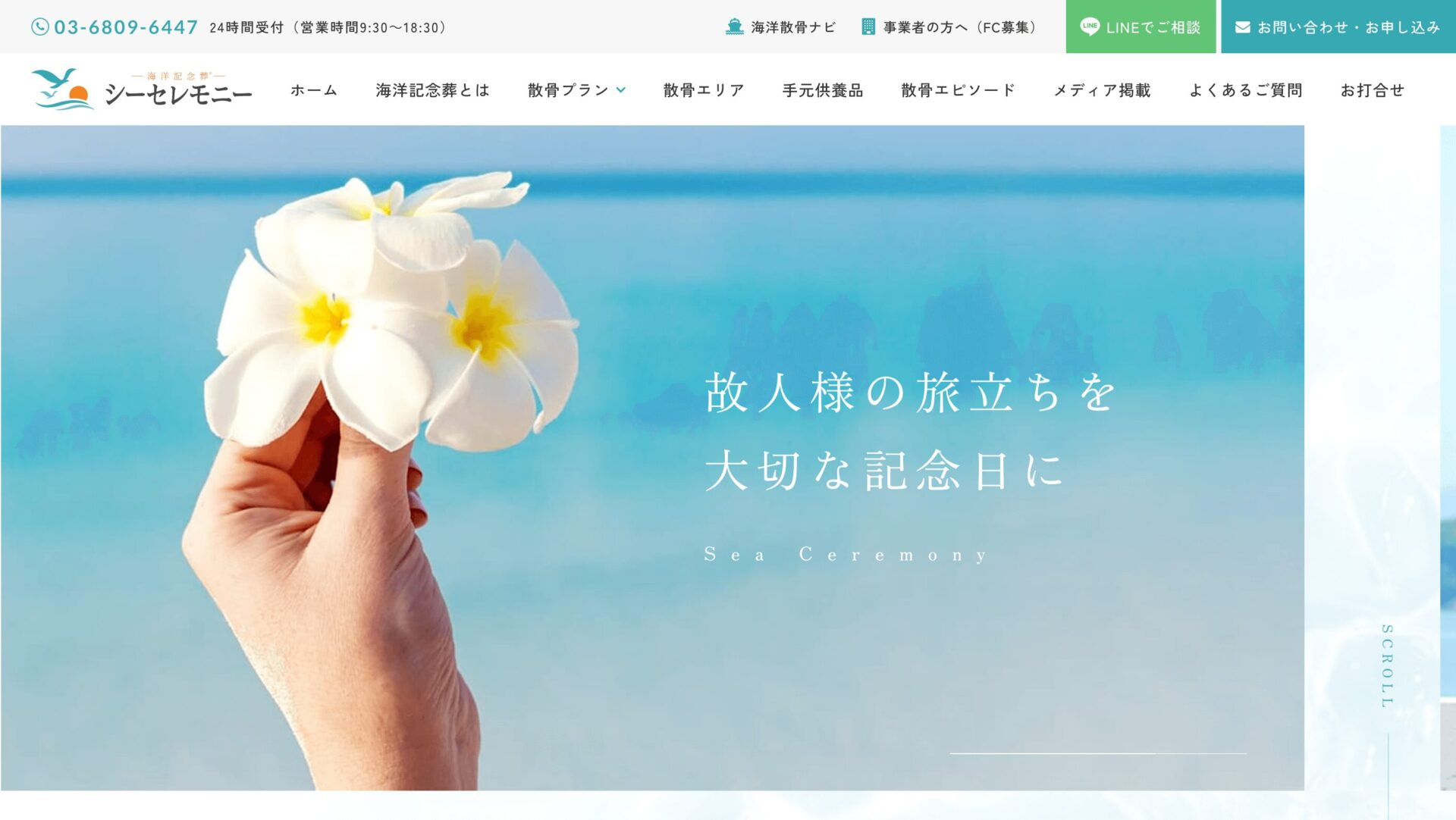 シーセレモニーの画像1