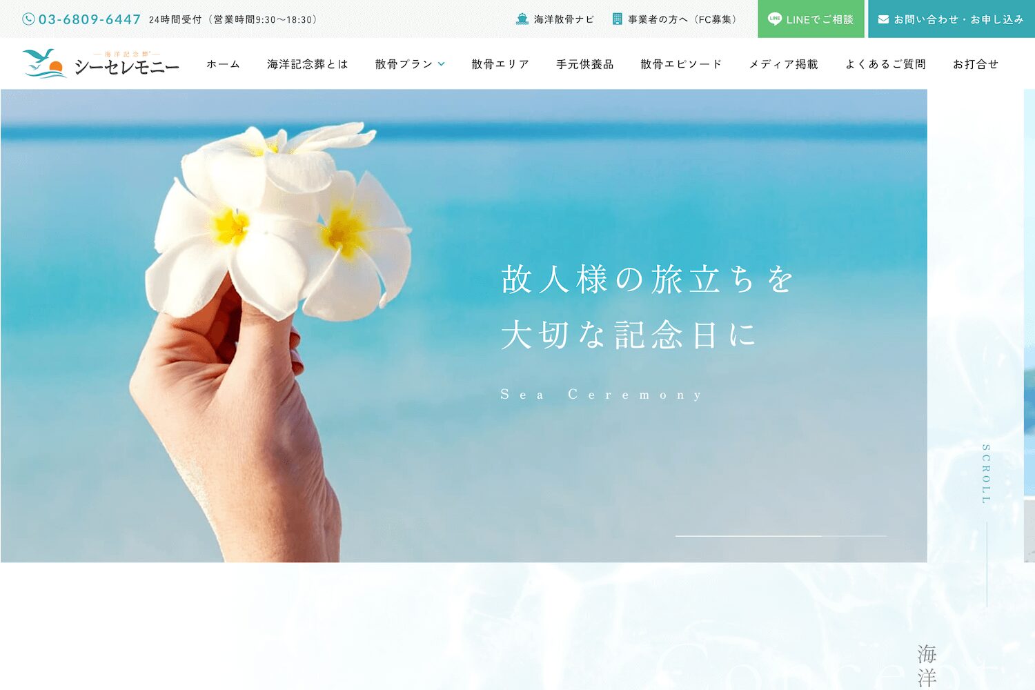 シーセレモニーの画像